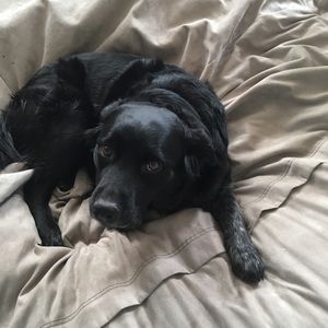 Meet your Posher, Kennedy